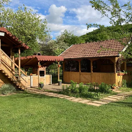 Holiday home Casuta De Sub Padure Ampoita