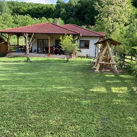 Căsuța De Sub Pădure Ampoita