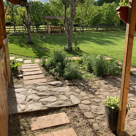 Căsuța De Sub Pădure Case de vacanță *