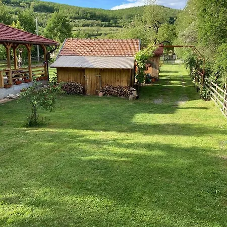 Casuta De Sub Padure Holiday home