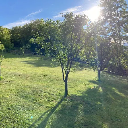 Căsuța De Sub Pădure Case de vacanță