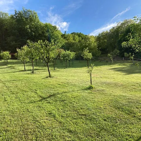 Căsuța De Sub Pădure *