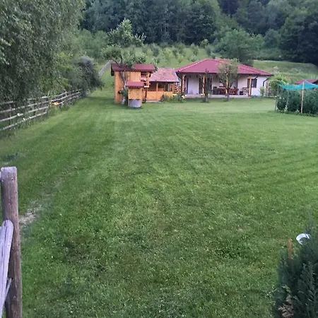 Căsuța De Sub Pădure Ampoita