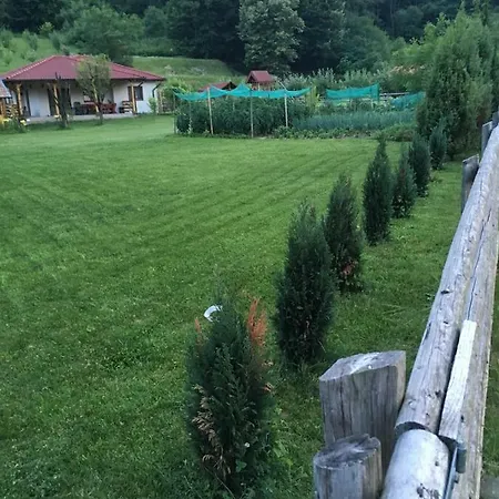 Căsuța De Sub Pădure Case de vacanță *