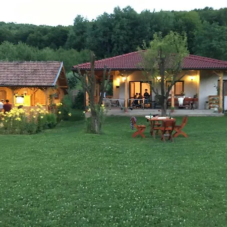 Căsuța De Sub Pădure * Ampoita