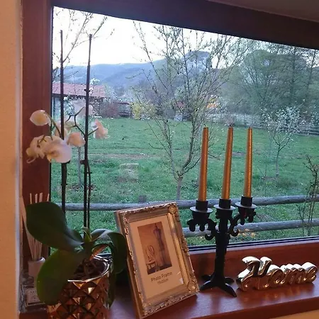 Căsuța De Sub Pădure