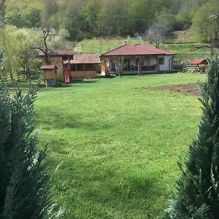 Holiday home Casuta De Sub Padure *